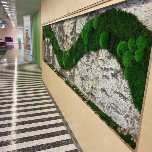 tERVISE SPAA KASETOHUST JA SAMBLIKUST SEIN.