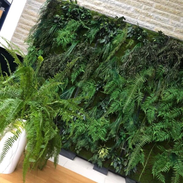 Taimeseinade rent Forgreenerlife.com .Foteoseina rent, messiboksi kaunistus