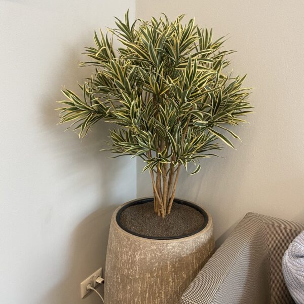 39684E13-2DFF-4410-AA34-4E97A3F2E55E