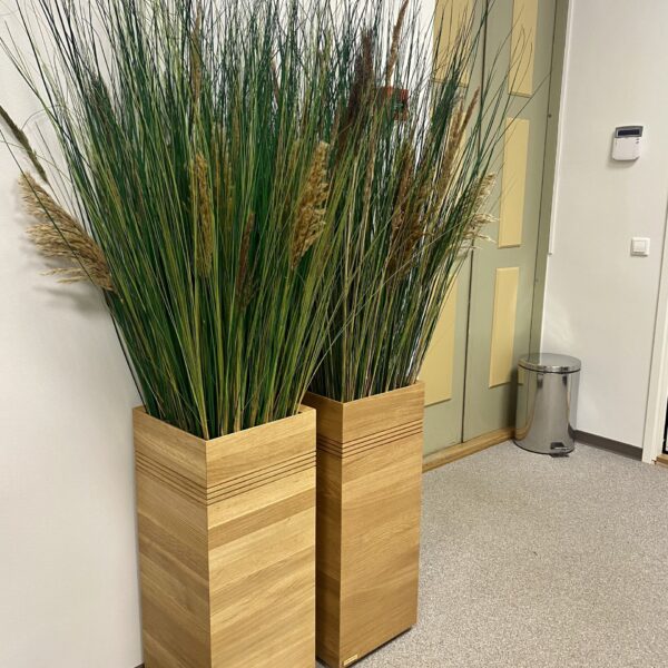 3ACECF44-741F-49B7-B9ED-0F40598743D0