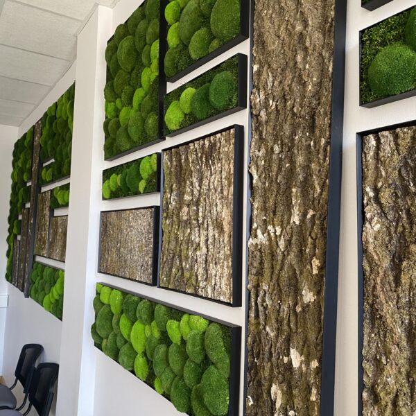 4047A983-DF1C-4E0E-B2D4-A3A31F86B310