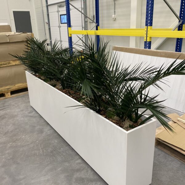 430C877E-E512-414C-8D36-9DD5F326113F