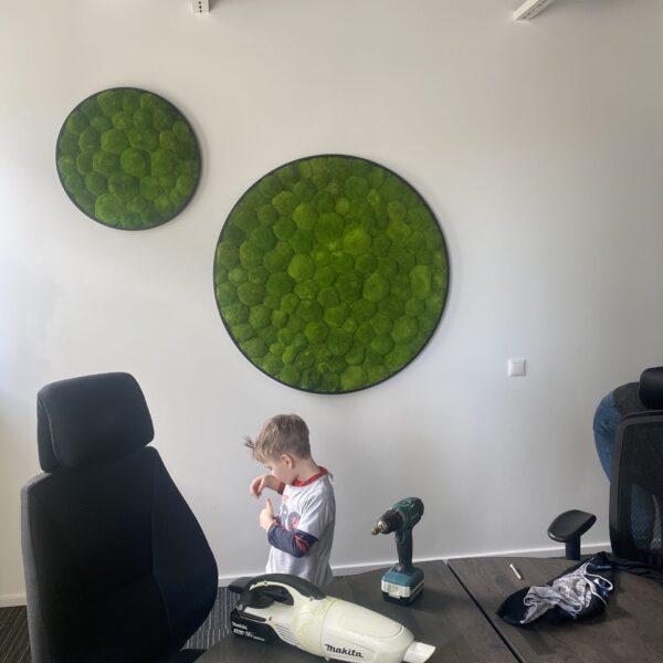 43708FFC-F19D-46ED-86D6-7BCAF9AC8DD6