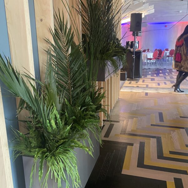 4410F98D-DB90-41AD-95A4-459576812D12