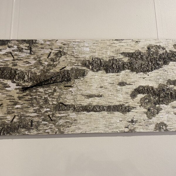 45D687CA-2906-4DE7-BA96-9A9A4E8FFA80