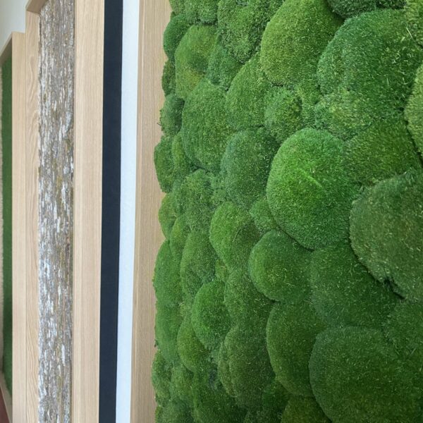 48557F4F-489F-4143-9956-3BEB58BA4D1D