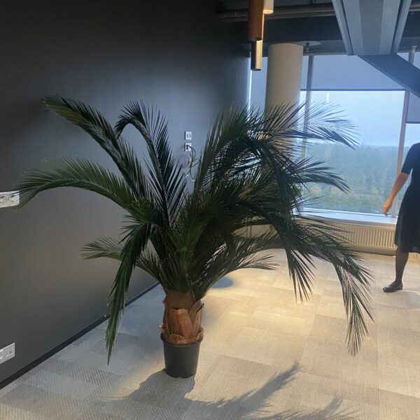 4ABFE950-0009-4BD6-A599-C0B1B85320A9