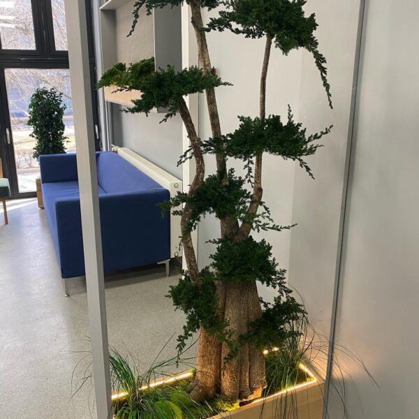 4EC7F67D-097F-4B67-BFDE-05B483E60FE6