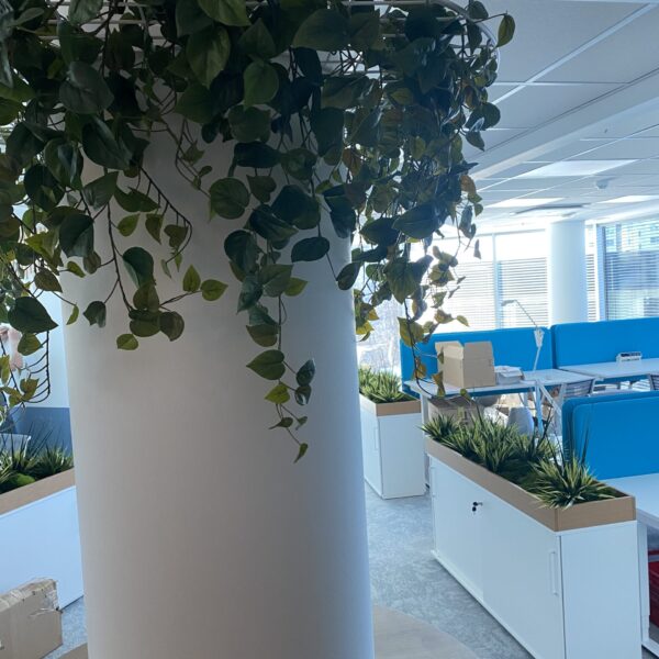 534AAF46-E566-4750-9518-1B71F5E70179