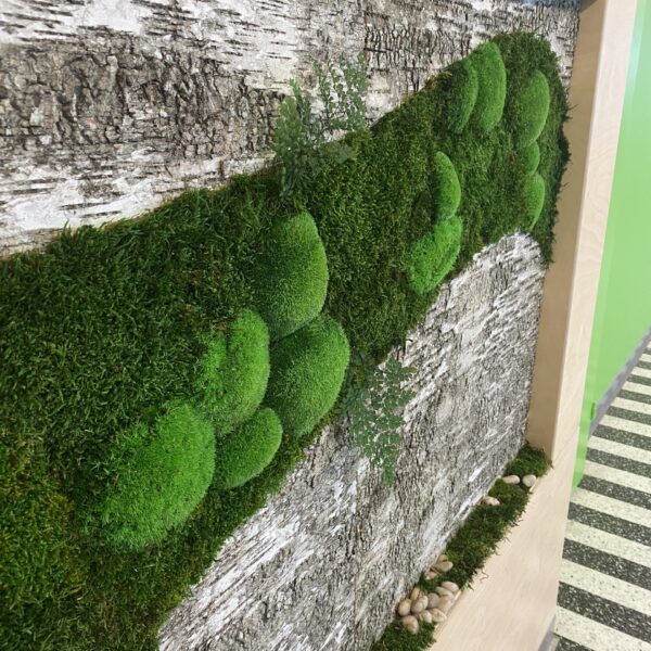 tERVISE SPAA KASETOHUST JA SAMBLIKUST SEIN.