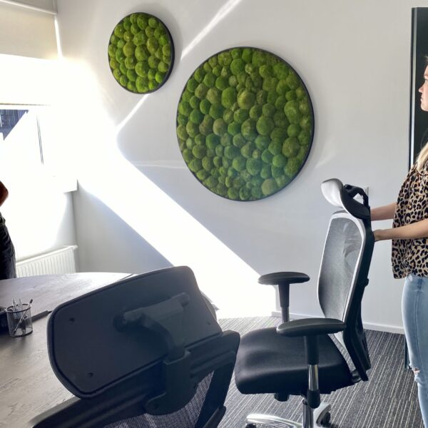 Kontorisse taimed ja rohelus. Taimeseinad, Taimekastid, Elusad, säilitatud ja kunsttaimed. Forgreenerlife.com