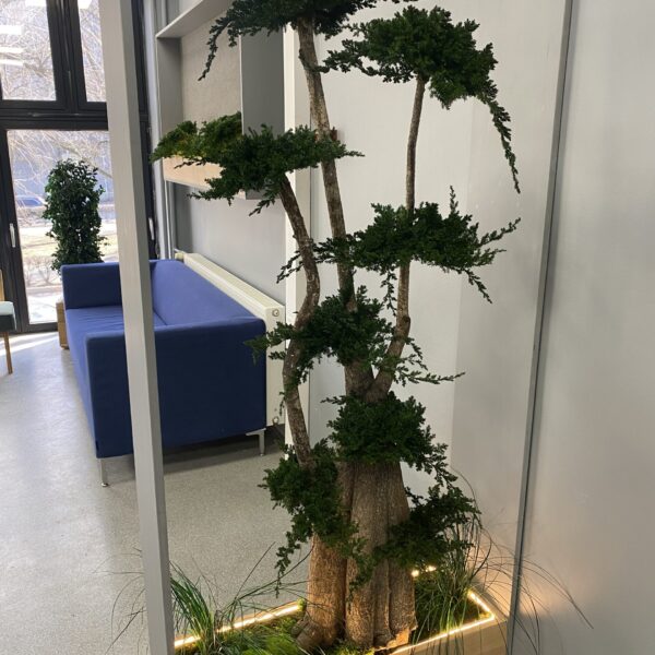 66D71169-0C6B-43D4-BB61-0C2DCA9C7D0D