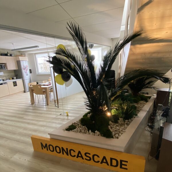 6A3FB93E-8397-40B0-B05E-1B5D3E9DA1FB