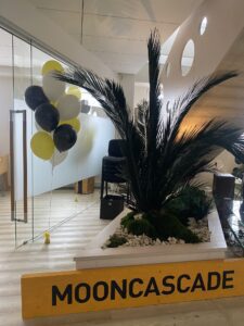 tAIMEKAST PALMIDEGA KONTORISSE