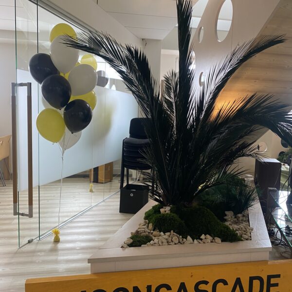 tAIMEKAST PALMIDEGA KONTORISSE