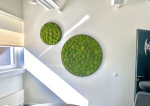 Kontorisse taimed ja rohelus. Taimeseinad, Taimekastid, Elusad, säilitatud ja kunsttaimed. Forgreenerlife.com