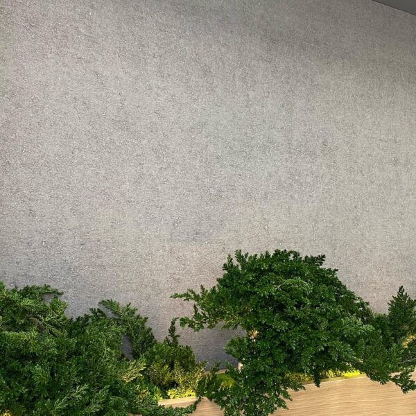 76E76579-5E49-4772-86E0-B8138F5593D5