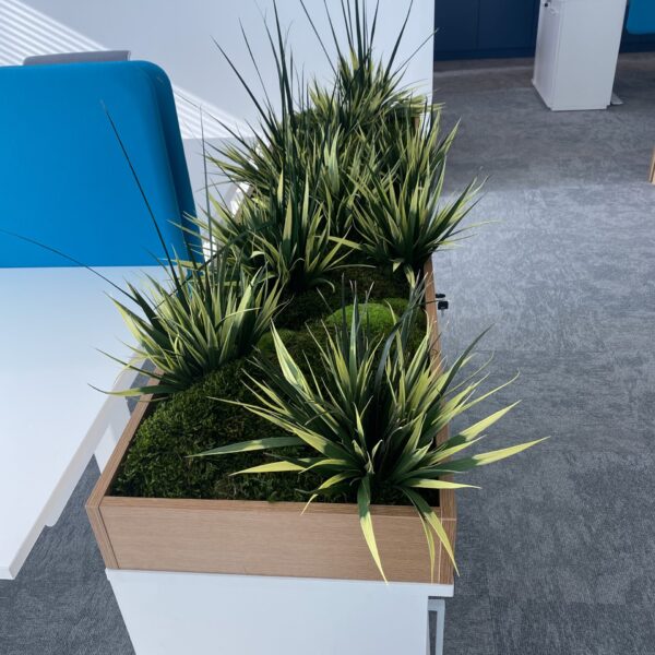 7882FADF-5C9F-45EA-98EA-85DF8D1C613D