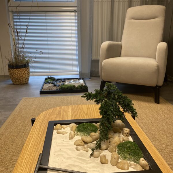 Hestia Haapsalu Spaa rohelus. Taimeseaded, zen aed, samblaseinad