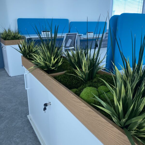 7AFF6550-BAEB-42F4-A615-89F821386B24