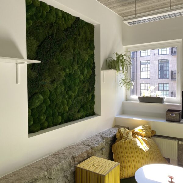 Kontorisse taimed ja rohelus. Taimeseinad, Taimekastid, Elusad, säilitatud ja kunsttaimed. Forgreenerlife.com