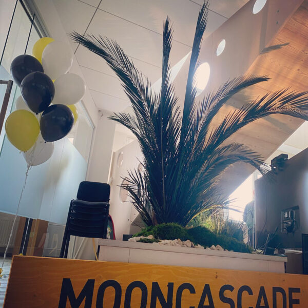 87237481-DF8F-4C0A-A1EE-BE72D300B630