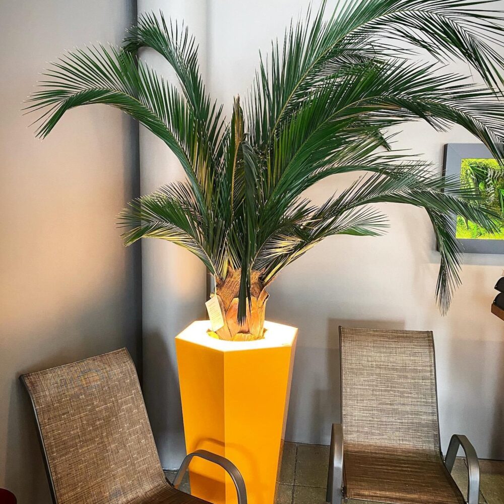 8A0AE89B-7C24-44E6-8AD9-93707D1FECD6