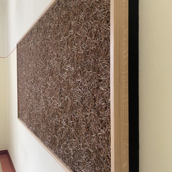 8C5EFE0B-6B77-4E95-8B75-F9CE2021E56B