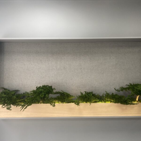 945DB186-2E2F-4C12-B0F0-09EA09536B5A