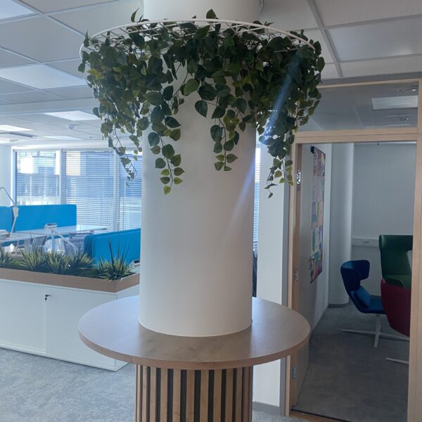 Forgreenerlife akustilised puukoorest ja taimeseinad. Taimekastid seinale