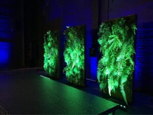 Taimeseinade rent Forgreenerlife.com .Foteoseina rent, messiboksi kaunistus