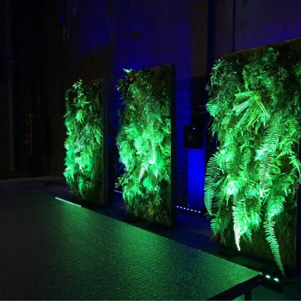 Taimeseinade rent Forgreenerlife.com .Foteoseina rent, messiboksi kaunistus