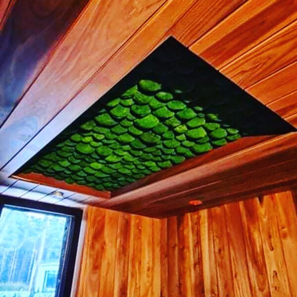 Samblapaneel lakke Forgreenerlife.com