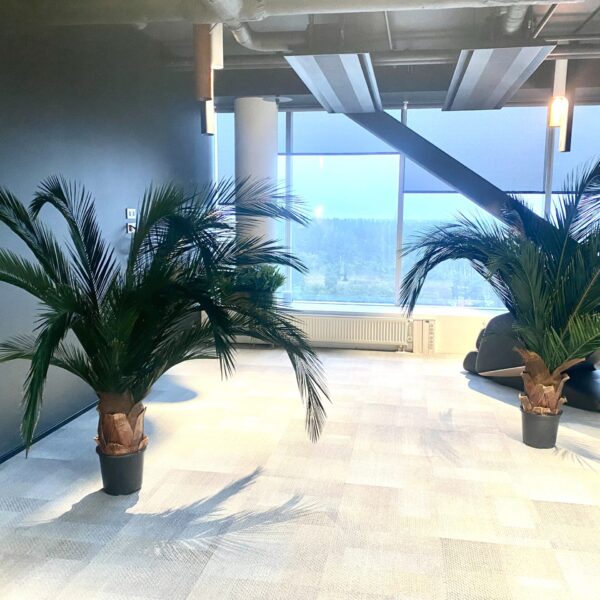 9F60FE56-0381-4AAD-B1EE-7A2148C5B3C1