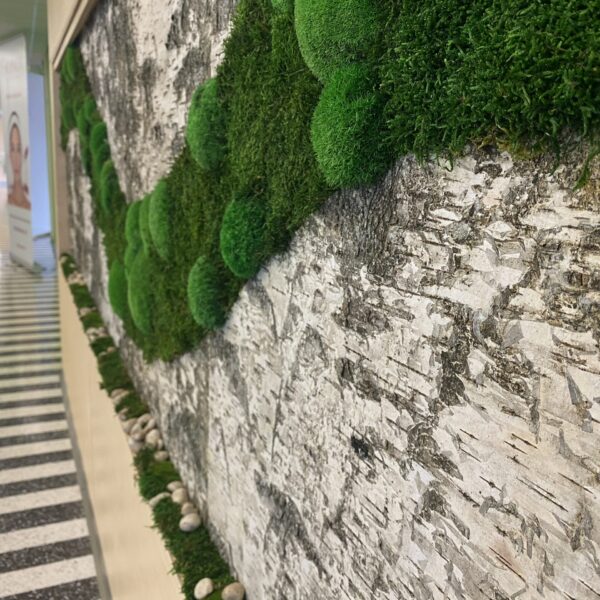 tERVISE SPAA KASETOHUST JA SAMBLIKUST SEIN.