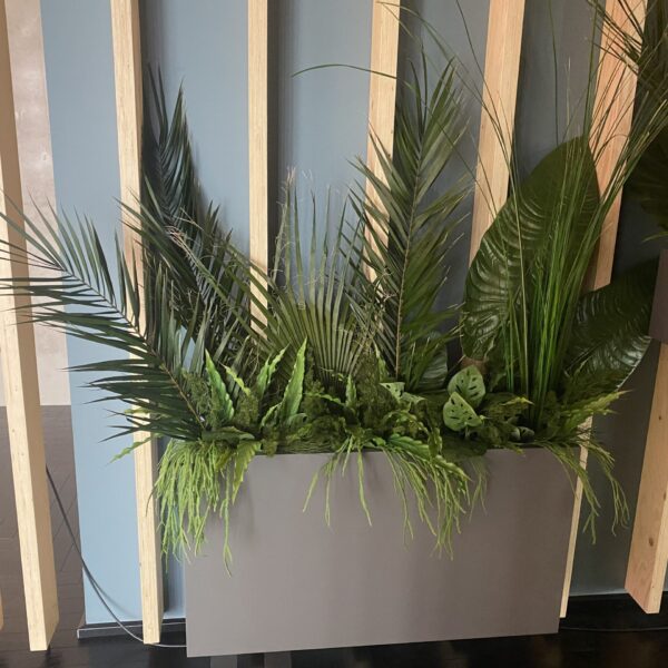 A8F98686-DA95-4427-8B24-C06C983EE3C1