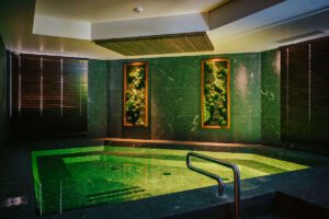 Hestia Haapsalu Spaa rohelus. Taimeseaded, zen aed, samblaseinad