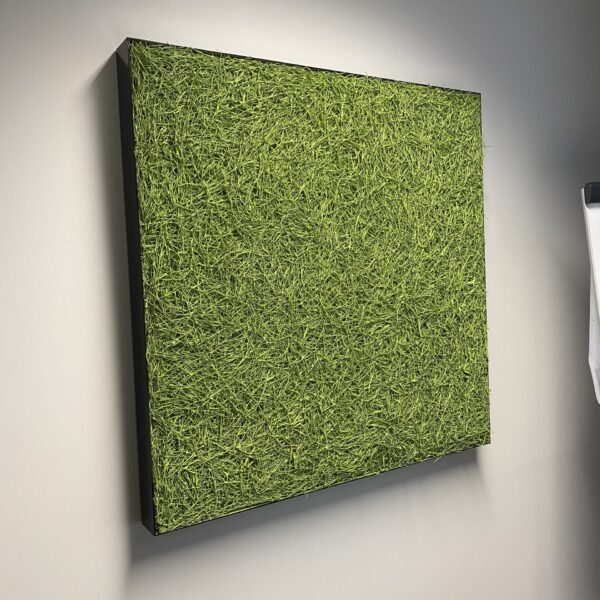 Kontorisse taimed ja rohelus. Taimeseinad, Taimekastid, Elusad, säilitatud ja kunsttaimed. Forgreenerlife.com