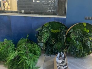 Rohelus restorani. Forgreenerlife.com