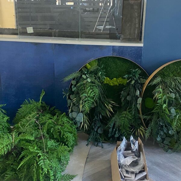 Rohelus restorani. Forgreenerlife.com