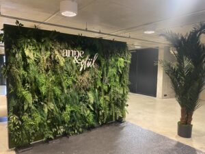 Taimeseinade rent Forgreenerlife.com .Foteoseina rent, messiboksi kaunistus