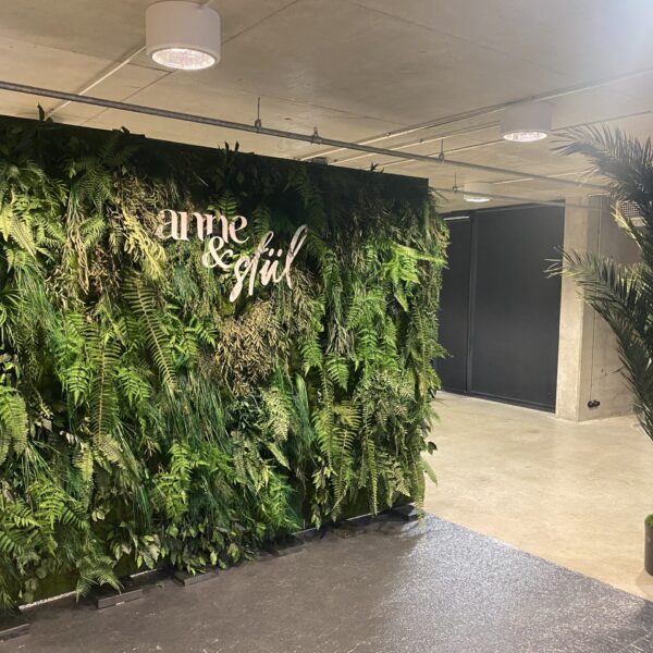 Taimeseinade rent Forgreenerlife.com .Foteoseina rent, messiboksi kaunistus