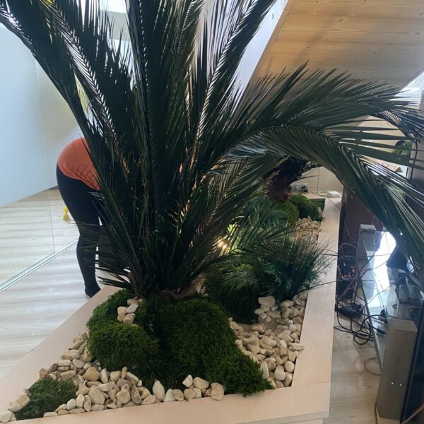 B62A0F15-A0C0-4F0A-8463-02181C8A6A5A