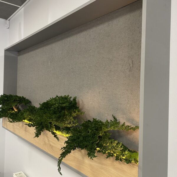 B805A7E2-0788-41DE-BBB6-D42CA0E714F6