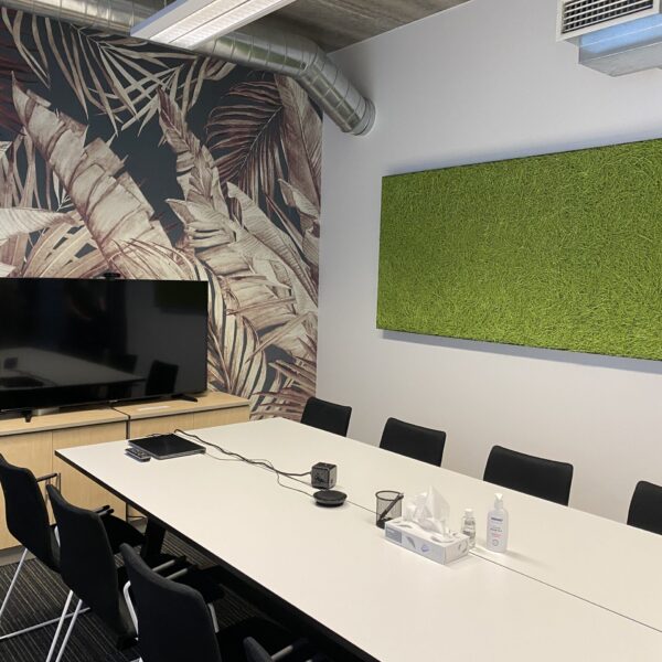 Kontorisse taimed ja rohelus. Taimeseinad, Taimekastid, Elusad, säilitatud ja kunsttaimed. Forgreenerlife.com