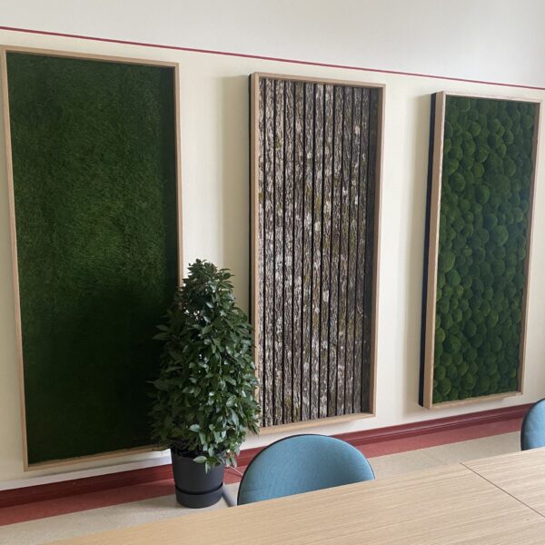 BA15B54C-5A96-473D-85A2-AC6E79283C34