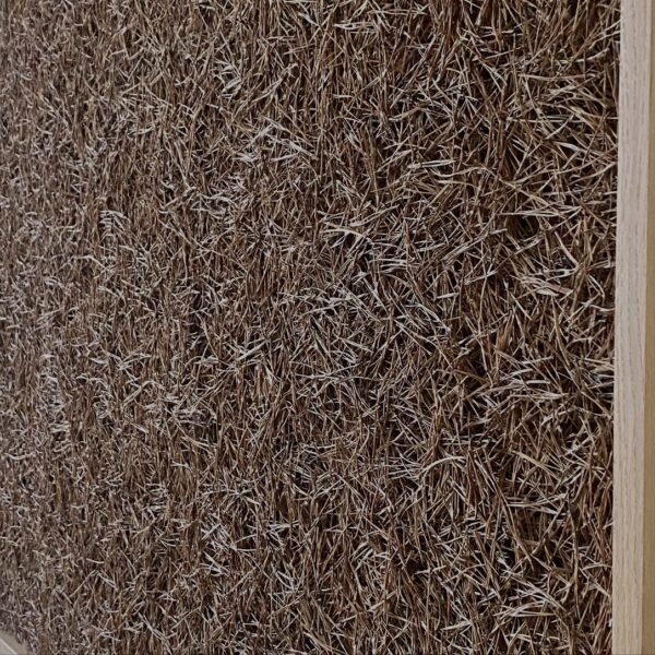 BE081FEB-D449-4E2F-AFA4-588BA09BB88F