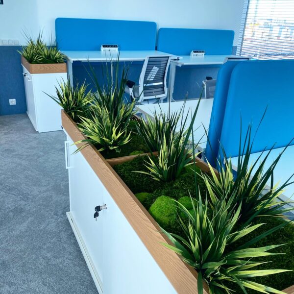 BF9F439E-F6E4-4BEA-8525-5923663B06FB