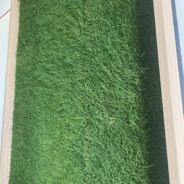 C0455B41-E470-4179-97F9-ACA12D8205F9