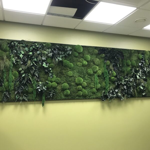 eESTI rAUDTEE TAIMESEIN